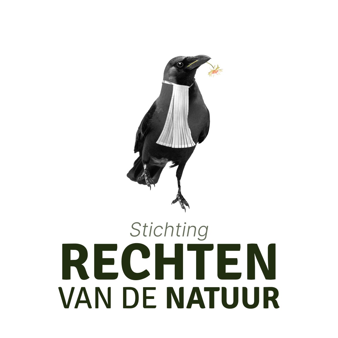 🌿👏🇳🇱 Exciting news! The Dutch Foundation for the #RightsofNature (Stichting Rechten van de Natuur) was launched, led by @JessicadenOuter. This milestone initiative aims to embed RoN in Dutch law and grant legal personhood to the Wadden Sea. rechtenvandenatuur.org