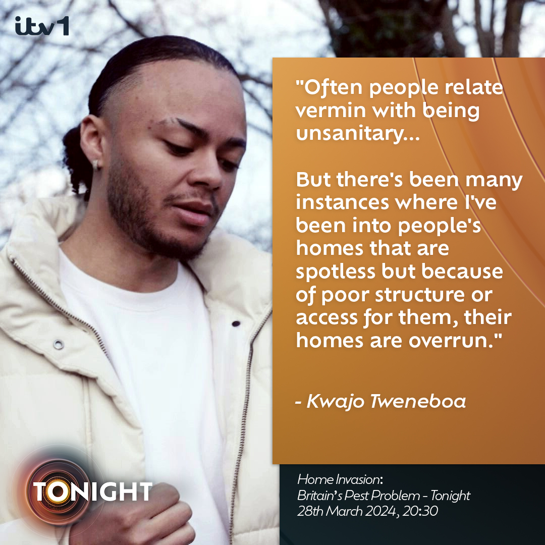 'Often people relate vermin with being unsanitary... But there's been many instances where I've been into people's homes that are spotless, but because of poor structure or access for them, their homes are overrun' Housing campaigner @kwajotweneboa tells @geraintitv about the…