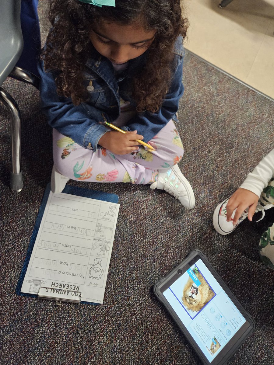 MaryBethBajikar's tweet image. Kindergarten is busy researching lions and using their note-taking sheets. I can&apos;t wait to hear what they learned! 
@DLE_Lions 
#justgoodteaching #livelaughloveleonetti #hearourroar