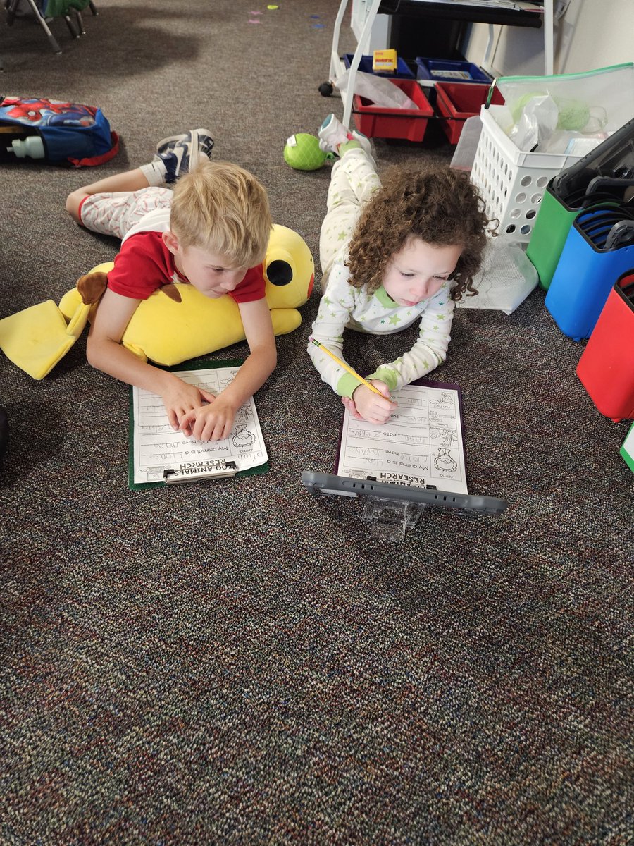 MaryBethBajikar's tweet image. Kindergarten is busy researching lions and using their note-taking sheets. I can&apos;t wait to hear what they learned! 
@DLE_Lions 
#justgoodteaching #livelaughloveleonetti #hearourroar