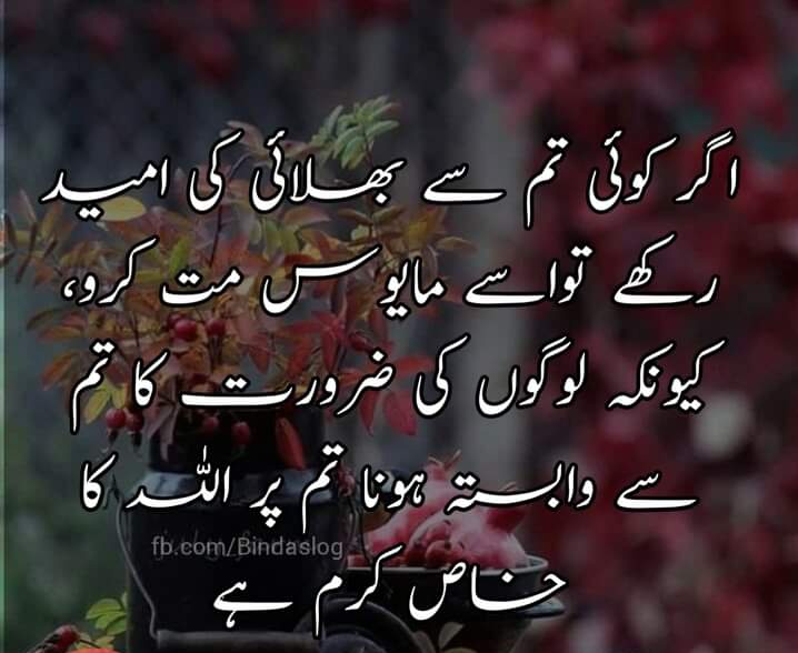 #PTI_Folllowers
<a href="/Zia1O/">ℤ𝕚𝕒 ℂ𝕙𝕒𝕦𝕕𝕙𝕒𝕣𝕪</a> 
@HamzaHa74072135 
<a href="/shabimughal777/">shabi mughal</a>