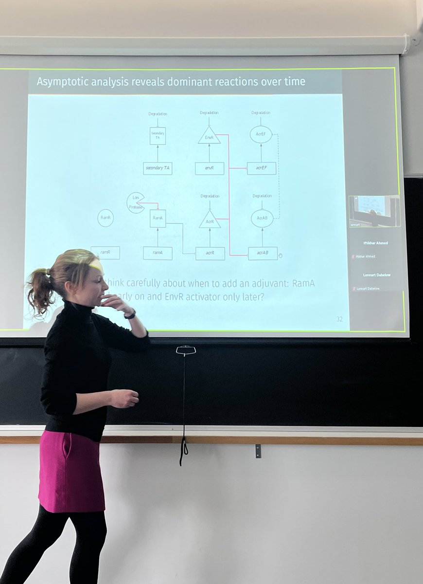 great to have Sara (Jabbari) @MathsBirmingham coming to qmul talking about using mathematical modelling to aid in the development of anti-resistance treatments, applying drugs in a more reasonable order under immune response and finding a better target in efflux pump network.