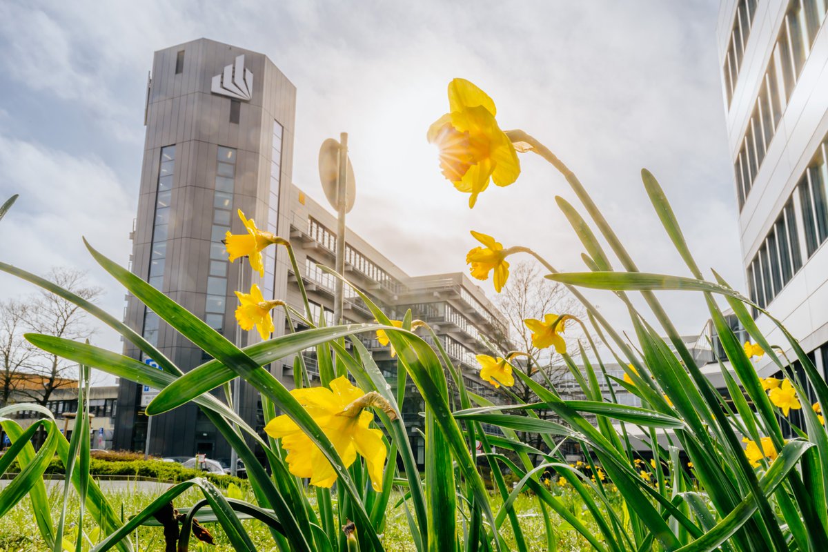 Auch wenn sich das Wetter noch nicht zwischen Sonne, Wolken und Regen entscheiden kann, zaubern die gelben #Frühlingsboten schon Farbe auf den UPB-Campus. Mit diesen Impressionen wünschen wir ein erholsames langes Wochenende und frohe #Ostern!
