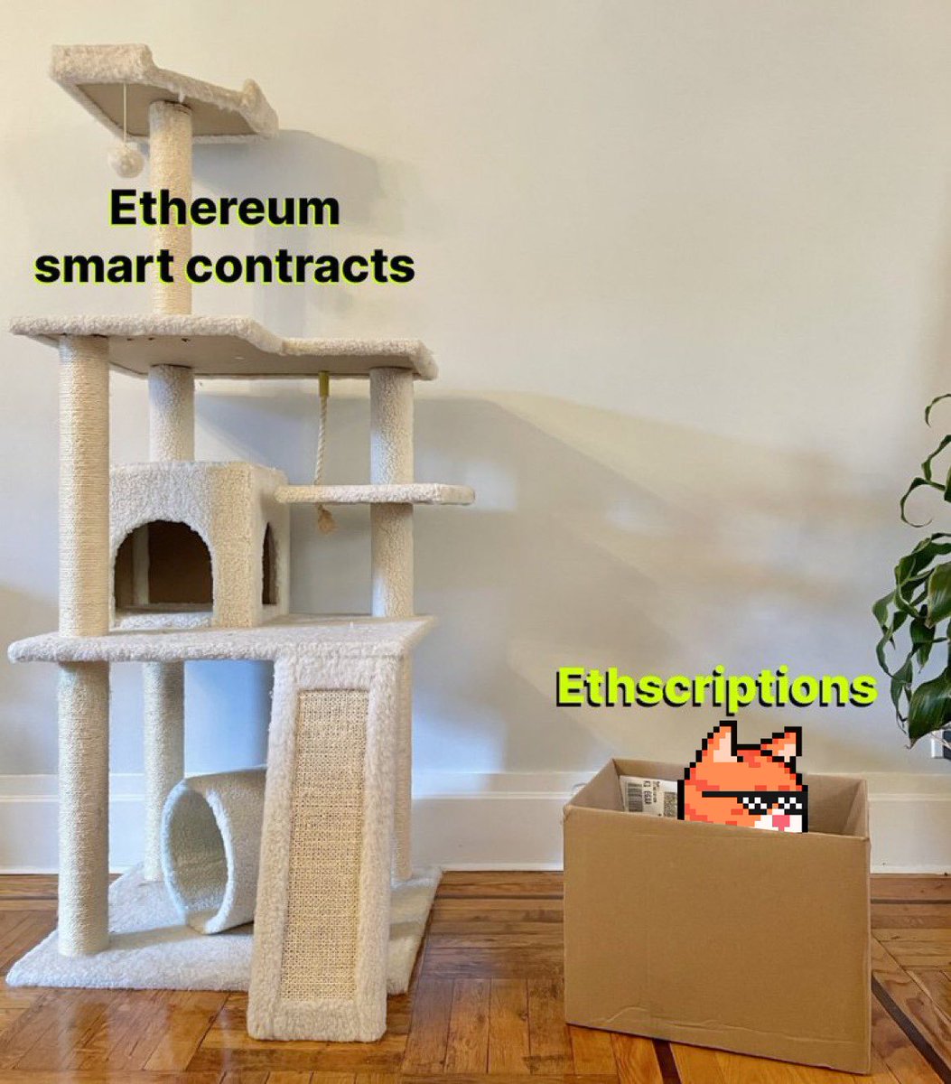 Ethscriptions 中文社区 tweet media