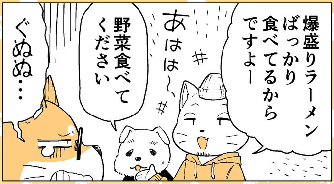 @chinchillo_p 実はチンさんモデル 