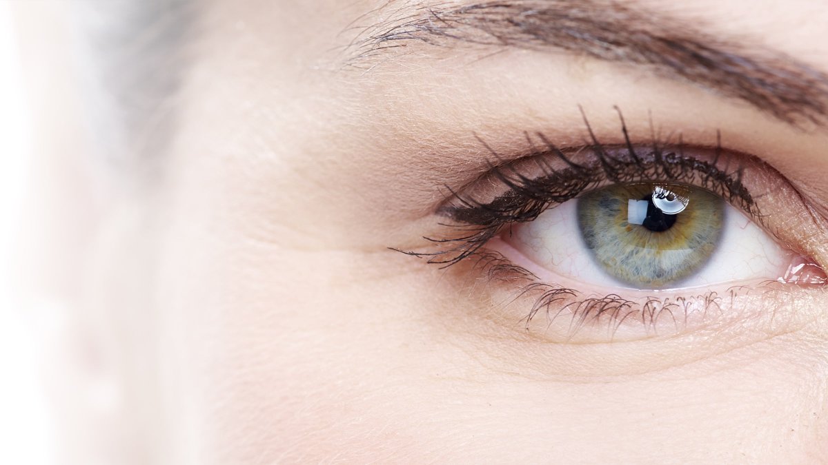 CollegeOptomUK's tweet image. Did you know nanoprobes could hold the key to early detection of #diabetic retinopathy?  

Dive into the groundbreaking research on enhancing visibility for live imaging of biomarkers in our #technews segment of #AcuityJournal.

Learn more here ➡️ coptom.uk/4a2DaPP