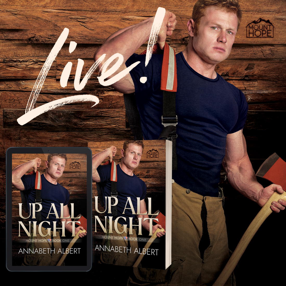 Ready for a new Annabeth series? UP ALL NIGHT is live now & launches my new first responder series, Mount Hope! Firefighter + all-night diner chef! Get yours: readerlinks.com/l/3840099