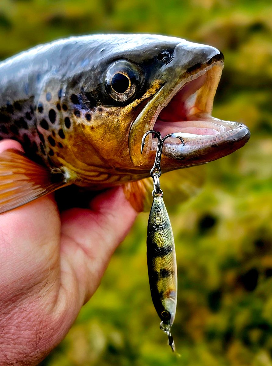 lures_edge's tweet photo. W((o))BLY Anyone?

https://t.co/MPNveuxpI1

#luresedge #fishus #fishuslures #fishuswobly https://t.co/8iyyDrTH3O