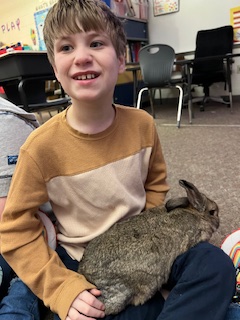 The Easter Bunny didn't exactly visit our MDSB classroom in Panther Valley, but a REAL bunny came instead! Shaq the Bunny was enjoying himself as our kiddos were petting and playing with him. Look at those smiles! They loved him! #helpingchildrenlearn #easterbunny #MDSB