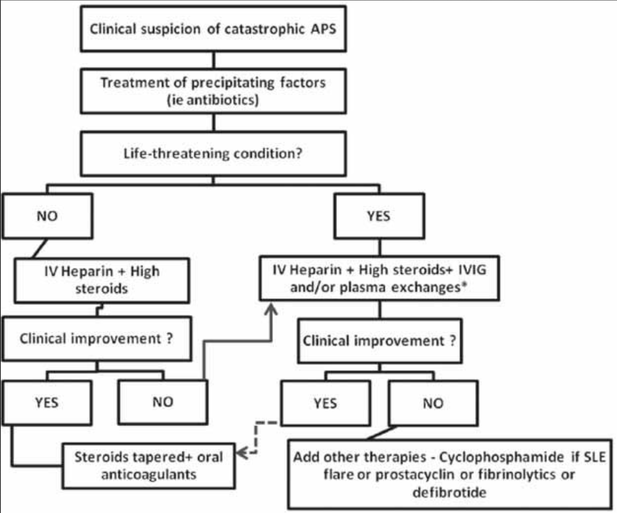 Catastrophic AntiPhospholipid Syndrome (CAPS) - antiphospholipid antibodies bind to cell surfaces (1st event), activate endothelial cells, monocytes &amp; platelets --> inflammation, complement activation, thrombosis; MC "triggers": infection, cancer, surgery, lupus flare