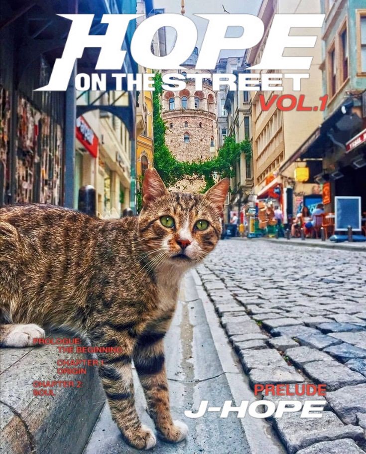 CATS ON THE  STREET OF ISTANBUL 

JHOPE IS COMING 
#JHOPE_ON_THE_STREET 
#XXXX_ON_THE_STREET