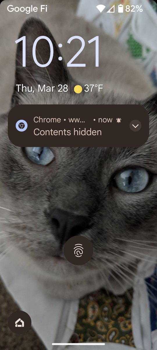 LoCoSketchbook's tweet image. Today 3X already. @FBI @Google @googlechrome #CyberSecurity #CriminalGang