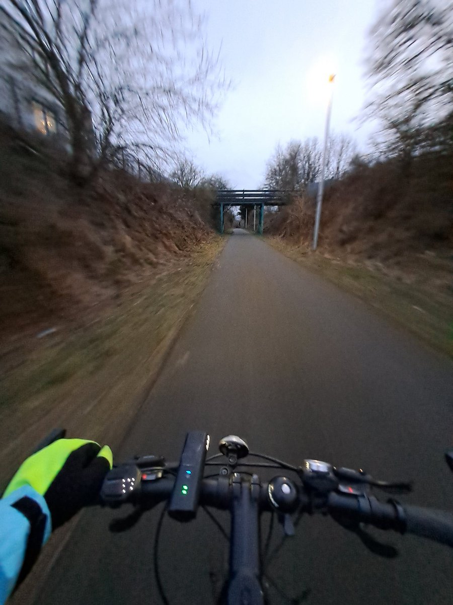 Lesley King tweet media