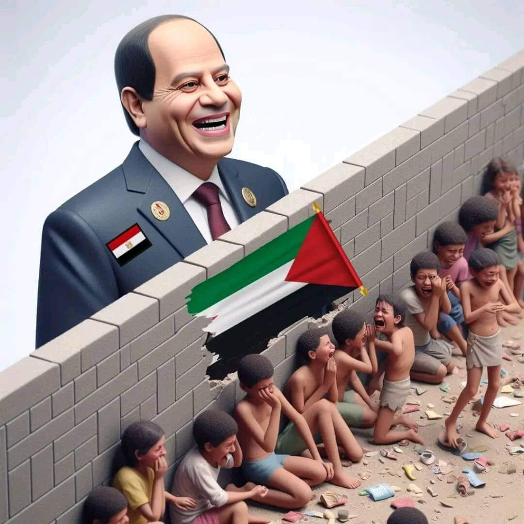 Mamine Hachimi Maoulainine tweet media