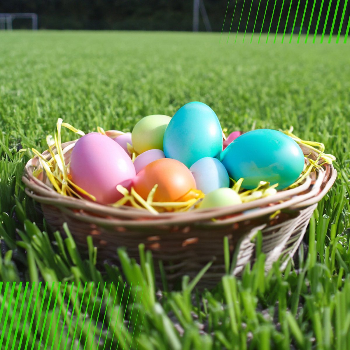 🐰Happy Easter! Wishing you a day filled with sunshine, laughter, and outdoor fun. Please take note of our adjusted opening hours for Easter and coming period. Review them here: edelgrass.com/contact/ 

Thank you for your understanding and have a wonderful Easter!

#Easter