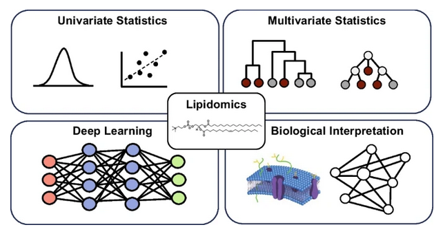 From #BigData to big insights: statistical and bioinformatic approaches for exploring the lipidome
by Erin S. Baker et al @UNC @uncchemistry @ErinBakerIMS @BakerLabMS @NCStateBioSci @JessieChappel @NIEHS @KaylieDonelson #lipidomics

link.springer.com/article/10.100…