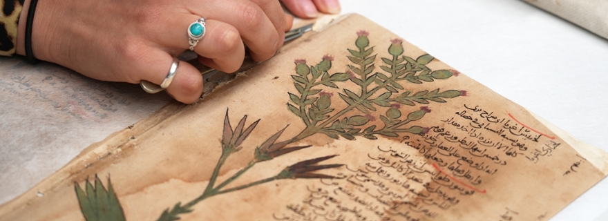 #StudiumGenerale organizes a lecture series (2 April - 21 May) on the world-famous #manuscripts from the Middle East collection of @UBLeiden. The series is held as a prelude to the new @MELibraryNL, which will be opened coming academic year. universiteitleiden.nl/en/news/2024/0…