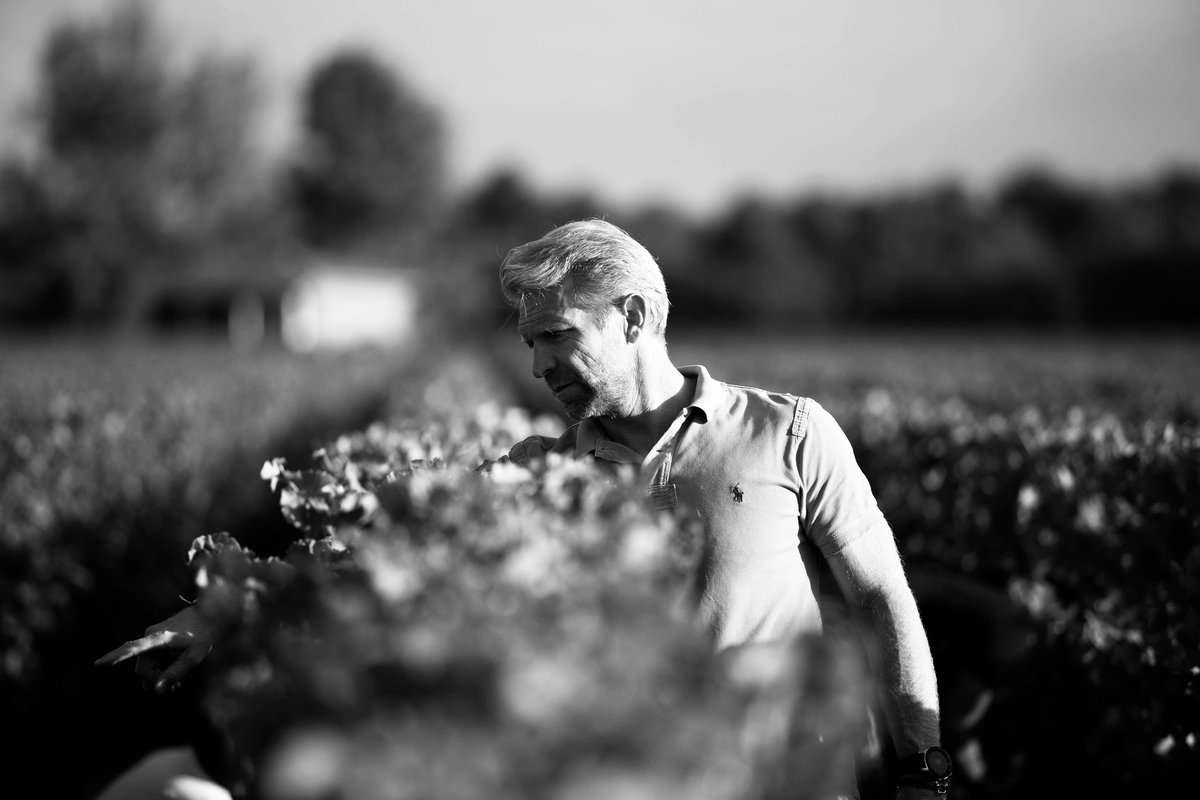 ChateauBrown's tweet image. Depuis plus de 20 ans, le vignoble de Brown connait un important travail de #restructuration.
Jean-Chrispohe Mau et Bruno Patrouilleau l&apos;ont repensé pour exploiter au maximum notre terroir et s&apos;adapter à la nature et à ses changements. 
 #vignoble #pessacleognan #chateaubrown