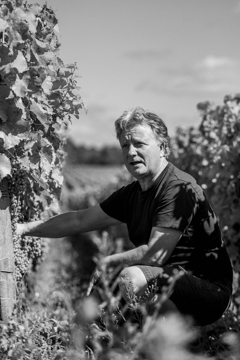 ChateauBrown's tweet image. Depuis plus de 20 ans, le vignoble de Brown connait un important travail de #restructuration.
Jean-Chrispohe Mau et Bruno Patrouilleau l&apos;ont repensé pour exploiter au maximum notre terroir et s&apos;adapter à la nature et à ses changements. 
 #vignoble #pessacleognan #chateaubrown