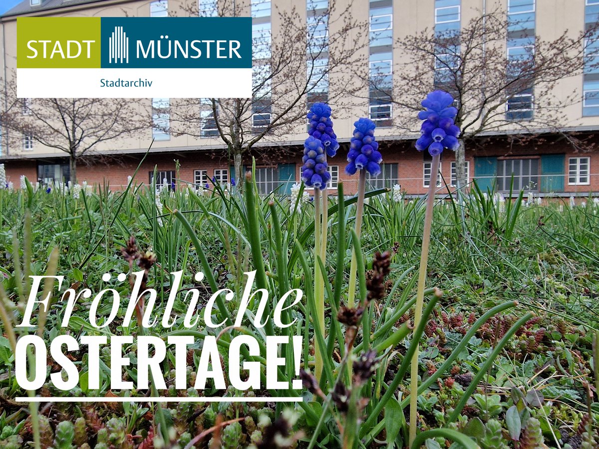 Wir wünschen unseren Followern hier bei X fröhliche Ostertage! Ab 'Osterdienstag', dem 2. April, sind wir wieder für Euch da! #Ostergruß #Münster #Hyazinthen #Speicherstadt