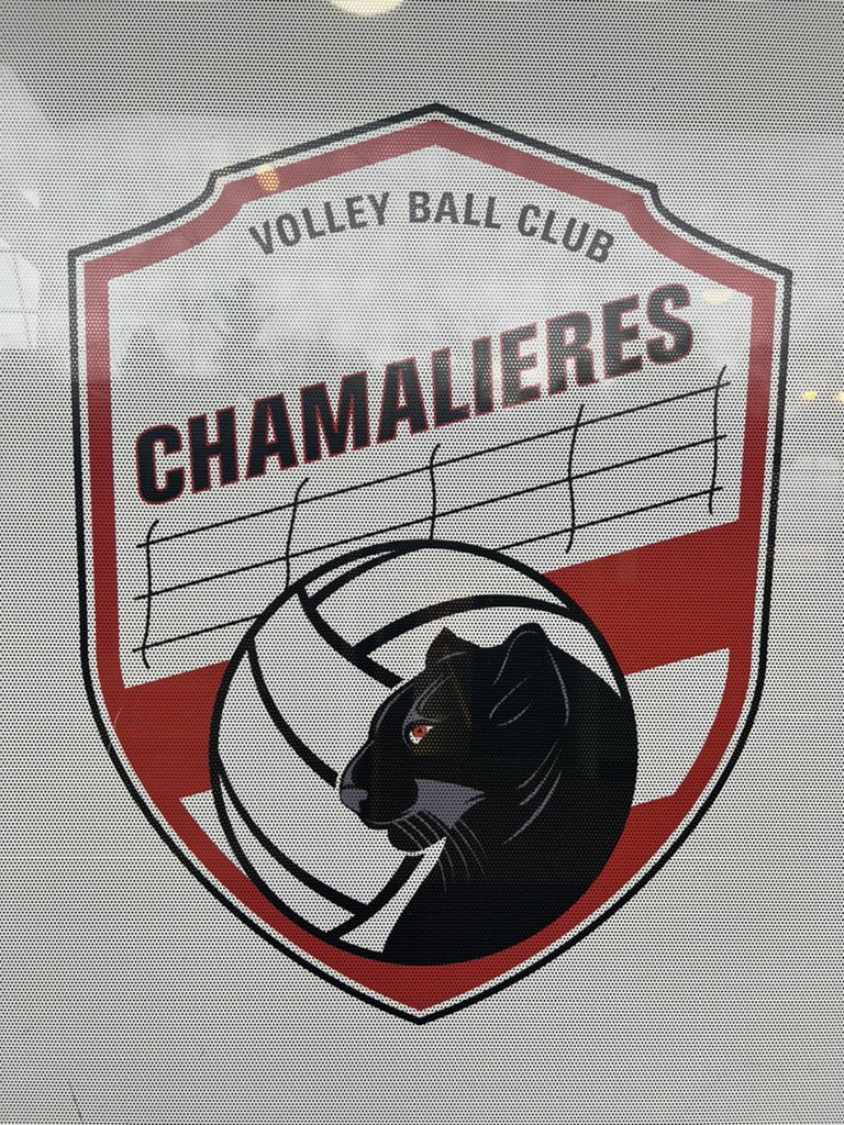 I’ve spent the last 2 days learning about the (semi-)professional women’s sport environment around Clermont-Ferrand @ESCClermont @VolleyCham. Very interesting 🏐⚽️🏉🏀