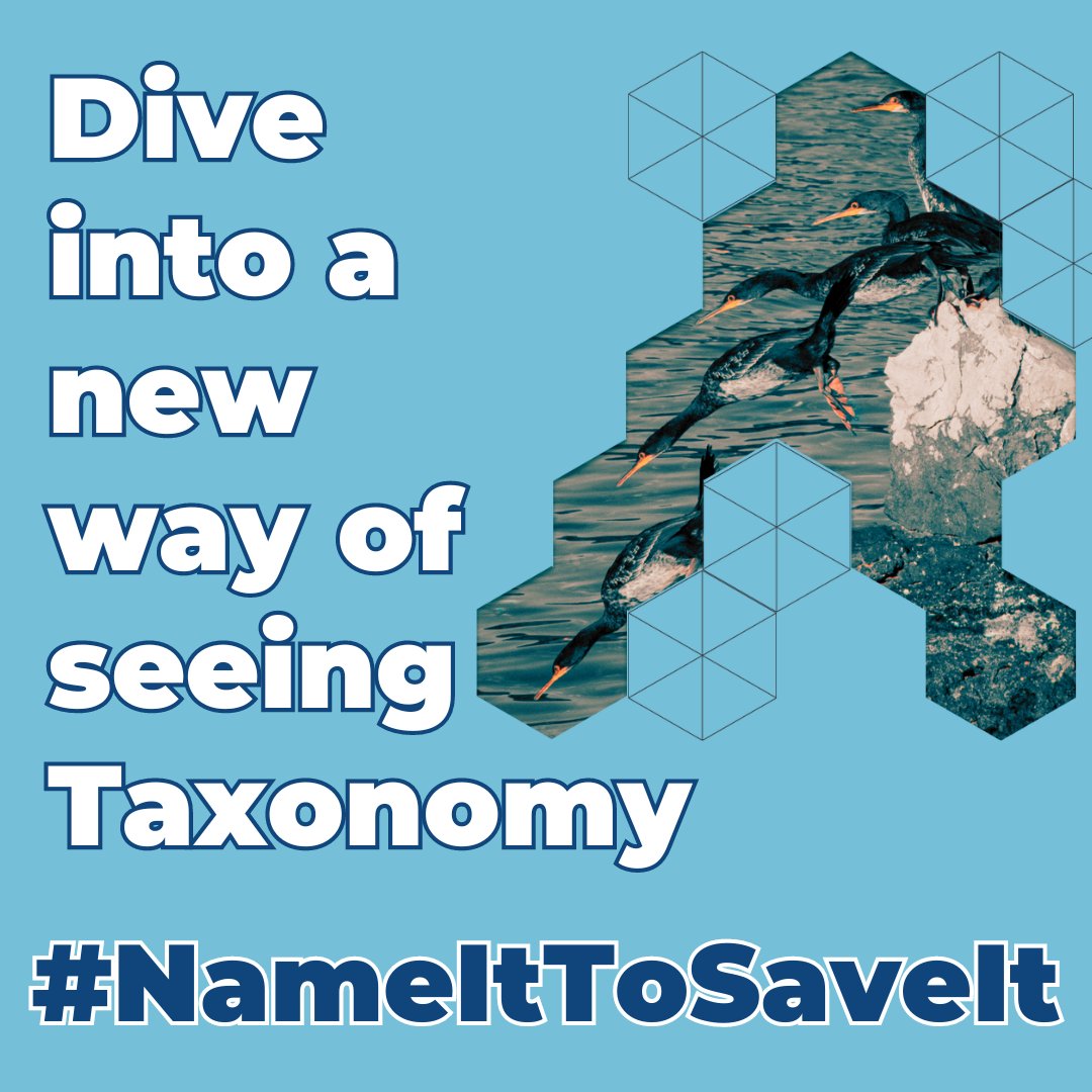 When? What? How? #NameItToSaveIt will be a new way of seeing #taxonomy... Soon, from #TETTRIsEU