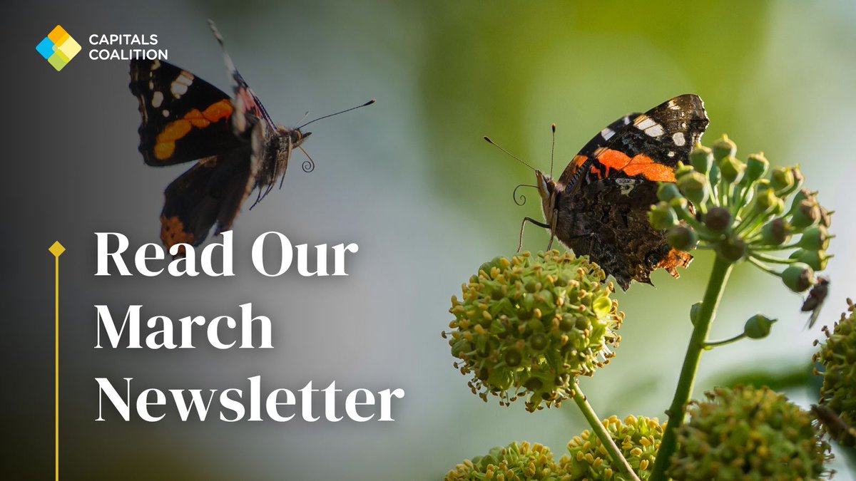 Check out our March newsletter! This edition introduces the launch of our business decision templates. We report on a new legal opinion on liability around nature-related risk, and share language updates on the TEEBAgrifood Operational Guidelines. 📩 bit.ly/4axWaG8