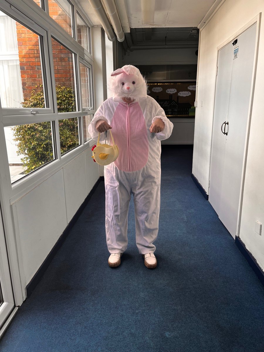 Moss Hey Primary tweet media