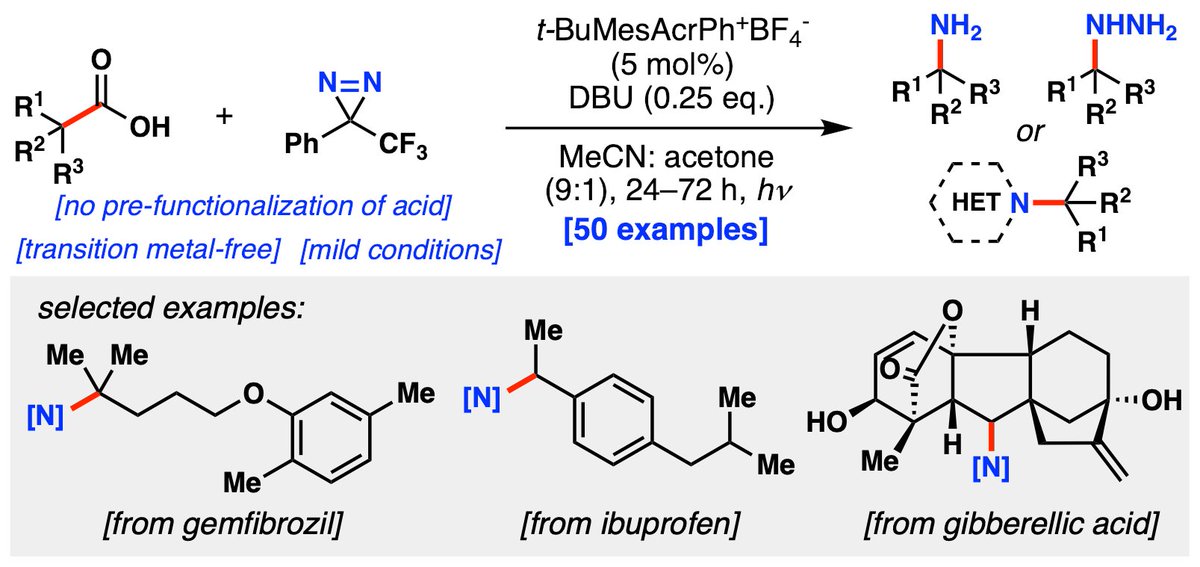 Today in @ChemRxiv, we report the direct catalytic photodecarboxylative amination of carboxylic acids with diazirines. 50 examples are demonstrated across primary, secondary, and tertiary acids for the preparation of amines, hydrazines and heterocycles. go.shr.lc/3xlDxqm