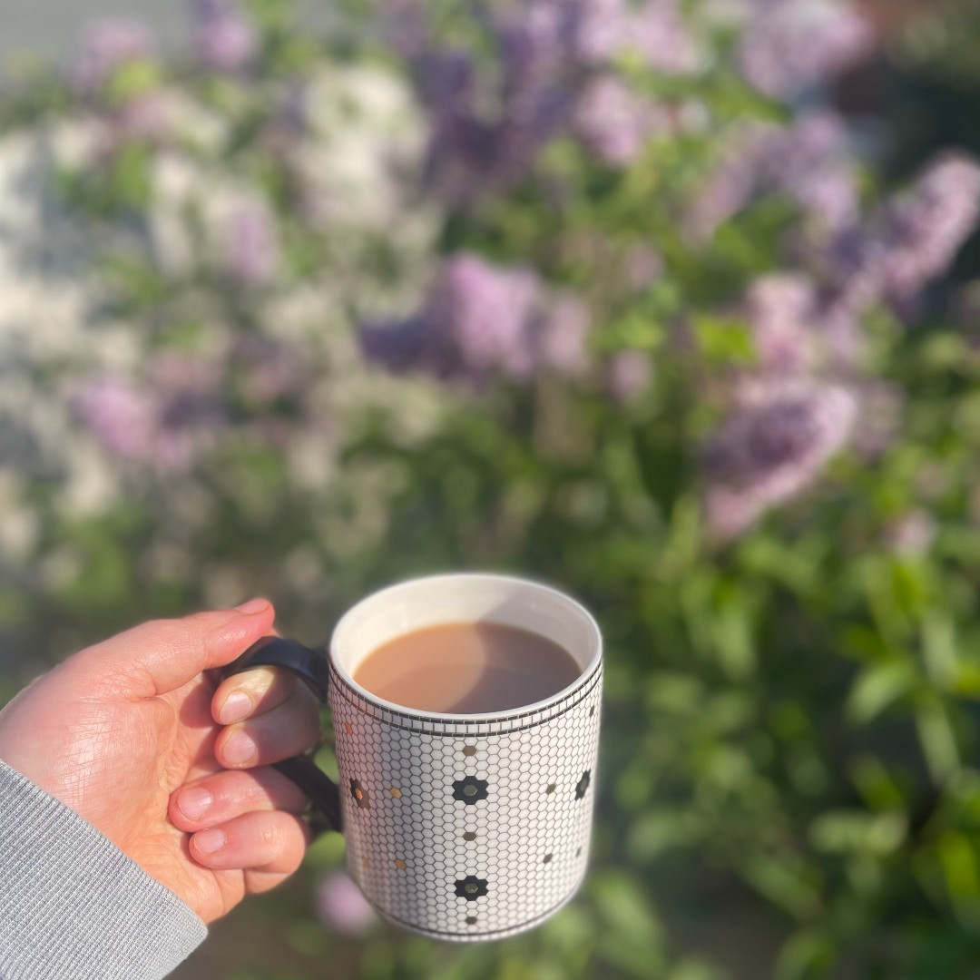 Spring has sprung 🌼 Here's to springtime teas and sunny days ahead! #TyphooTea #springhassprung #springtime #newseason