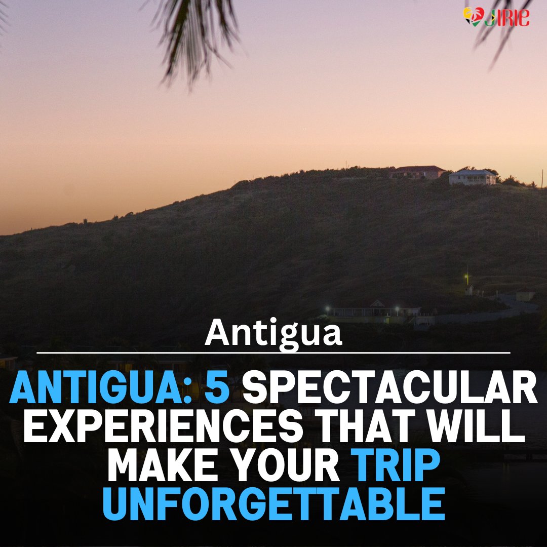 Caribbean Focus Lifestyle tweet media