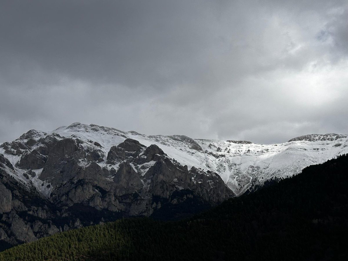 meteocadí tweet media