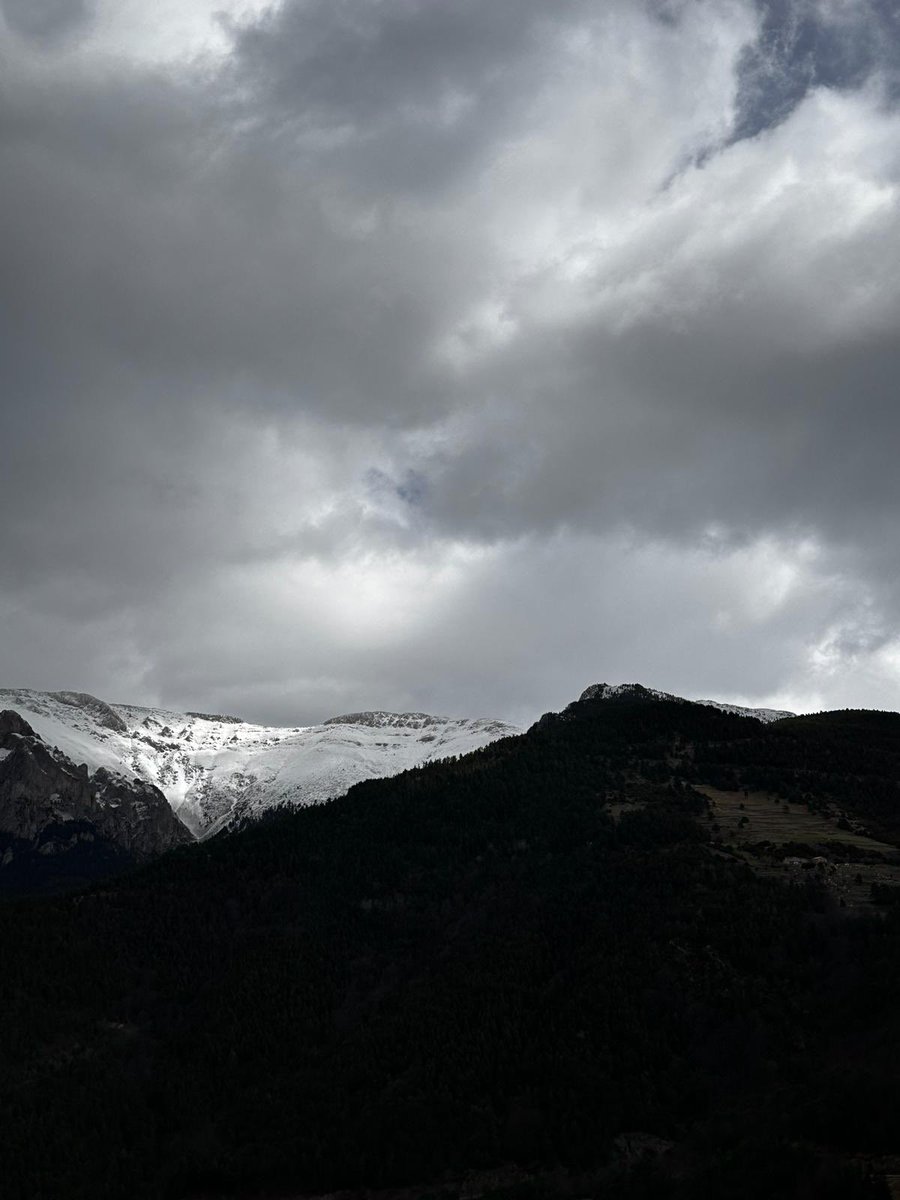 meteocadí tweet media