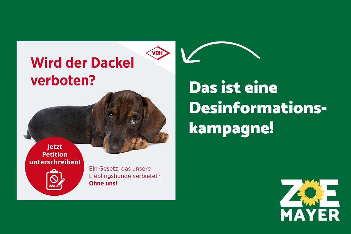 Der VDH startet eine massive Desinformationskampagne gegen das #Tierschutzgesetz. 🚨 Wir wollen Zucht auf Qualzuchtmerkmale, die schwere gesundheitliche Probleme zur Folge haben, verbieten. Von Rasseverboten ist keine Rede!