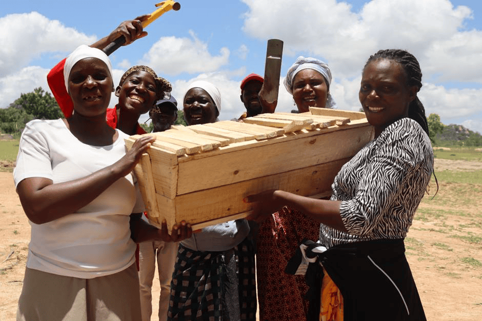 📍 Buhera ward 15, cluster 9 At a beekeeping training session, these inspiring women are constructing a Kenyan Top Bar beehive, showcasing their determination and resilience. 🏗️✨ Gone are the days when beekeeping was seen as an activity exclusive to men. #WomensHistoryMonth