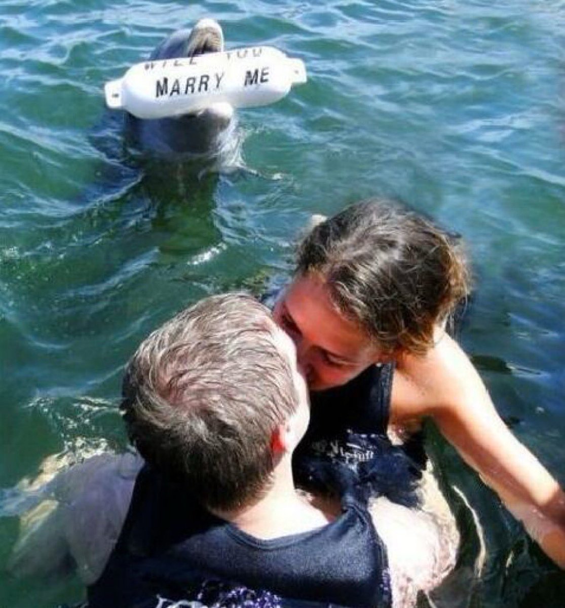 Imagine the effort it took this dolphin to propose, then the woman he loves does this in front of him? Just awful.