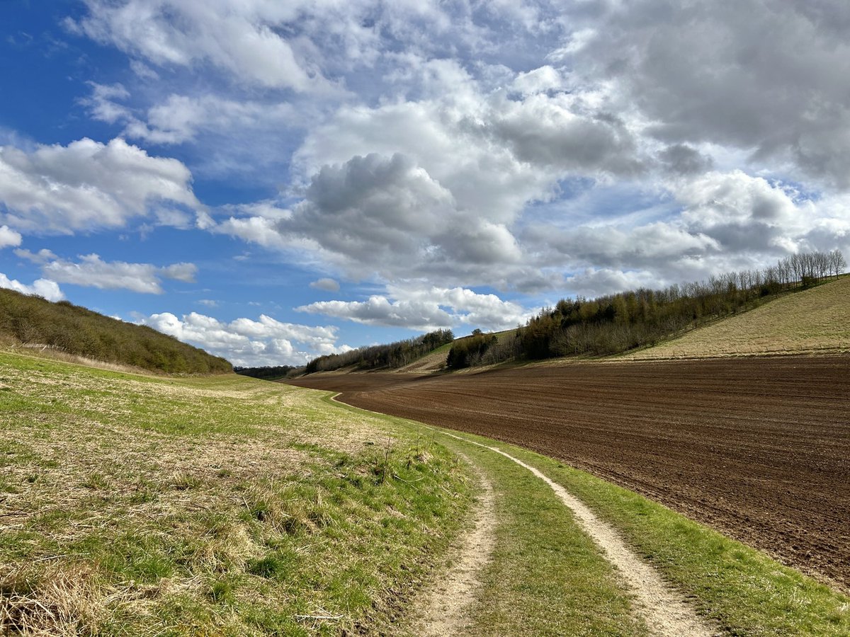 Freshly Ploughed Fields. 8°C and a brisk chilly breeze. Red Kite up high.