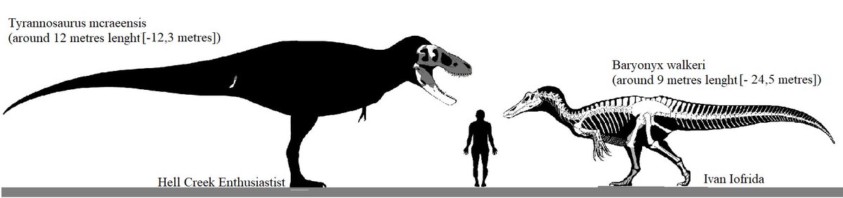 Momma Rex and Rudy from ,,Ice Age 3: Dawn of Dinosaurs' with accurate skeletal reconstructions and size comparasion. I decided to change Tyrannosaurus rex into T. mcraensis, because this new species have more similar skull like original one