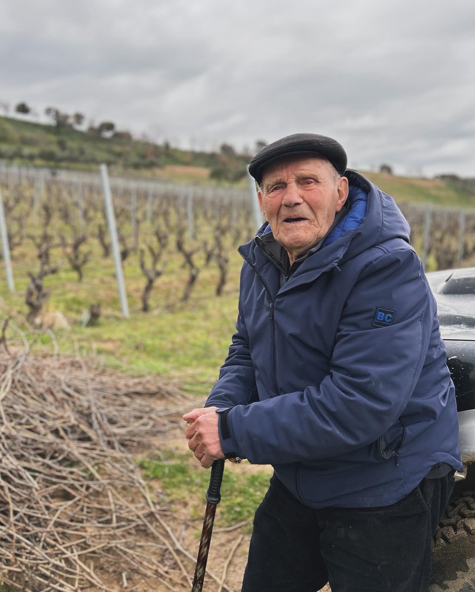 Nonno Giuseppe Sedilesu supervisiona la potatura della vite nella vigna storica da cui tutto è iniziato, dove lui ha iniziato, Murruzzone.