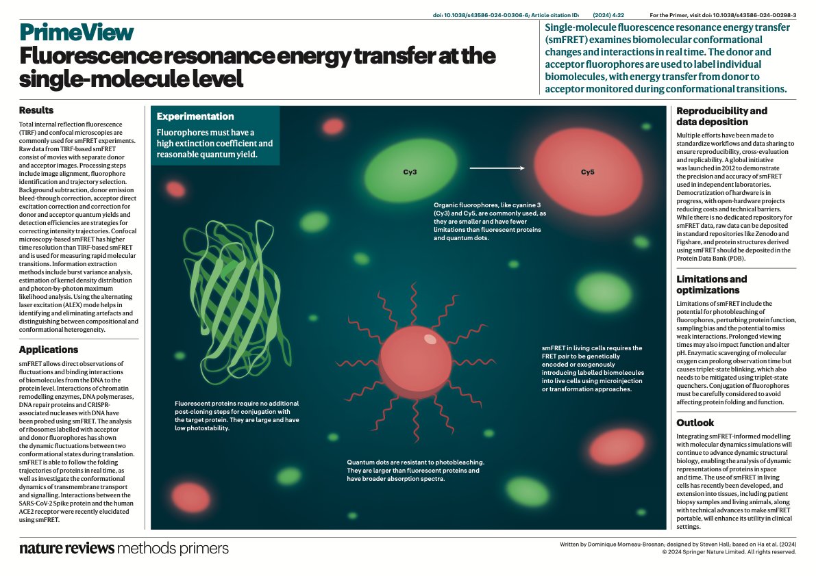 Happy to share our new & hopefully instructive @MethodsPrimers on #smFRET: the basics, tech., current&future applications. Thanks @taekjip for leading this joint effort with @fei_jingyi #NamKiLee @rubenlgonzalez @Sneha_0027 #SanghunYeou & me. Full paper: nature.com/articles/s4358…
