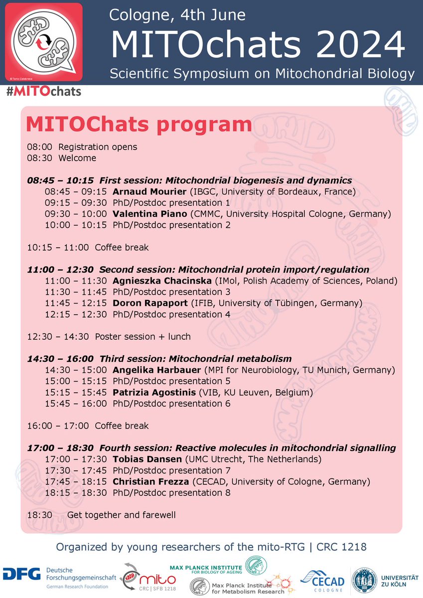 🚨🚨Free spots available / Please RT!🚨🚨 Thrilled to announce that our PhD students are organizing #MITOchats Symposium on June 4th in Cologne! Do not miss this wonderful event!! Register HERE👉👉👉shorturl.at/bcdJN #mitochondria #metabolism #cellbiology @MPIAGE @CECAD_