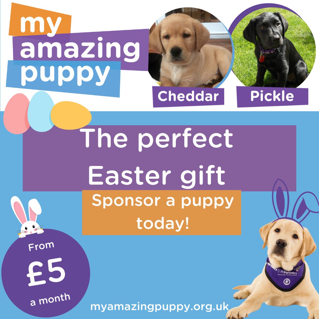 The perfect gift for Easter! Sponsor a puppy today! myamazingpuppy.org.uk