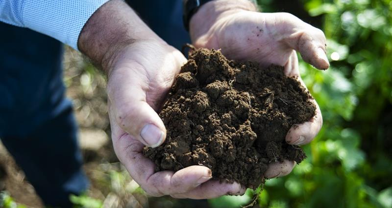 Addressing the complexities and challenges of soil management

Recently, NFU Environment Forum chair @SustEnvFarming , provided insights at the @WEETFEvents into the priorities for farmers in sustainable soil management

Read more here 👉nfuonline.com/updates-and-in…