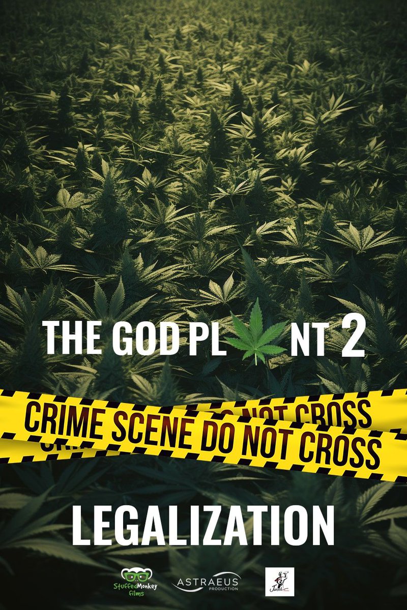 Exciting news! 🎬 Watch 'The God Plant 2: Legalized' on @PrimeVideo to catch our CEO Jon Robson discussing the legalisation of #medicalcannabis in the UK. Thanks to Michael Fisher of @Teessidecc for making this possible! 🌿 Watch on Prime: buff.ly/3vxfbtu