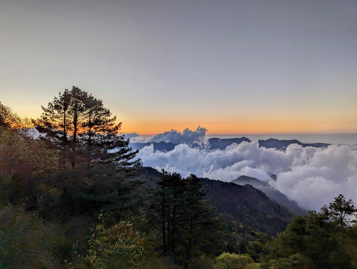 Pyrex963's tweet photo. 結束將近一週的旅行
走了很多路 爬了很多山
看到很多事 認識很多人

在城市
總覺得我們很偉大 創造了一切
但走進森林 才發現自己的渺小 https://t.co/YI4puEwuNL
