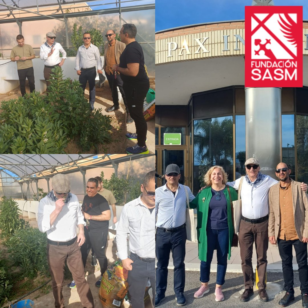 FundacioSASM's tweet image. ⭕La Fundación SASM ha recibido la visita de parte de los miembros de la dirección de l’Istituto Istruzione Superiore de Cariati, Calabria, Italia, que se encuentran realizando un Erasmus+ en València.

 #visitas #fundacionsasm