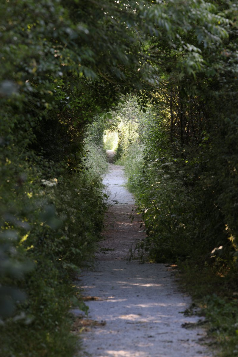 Quick update to confirm that we are still (!!!!) closed due to flooding, however water levels are almost back to normal &amp; we'll soon be able to leap into action tidying and repairing in preparation for re-opening... hopefully in just a few weeks time 🤞 Photo by <a href="/StuartCarlton48/">Stuart Carlton</a>