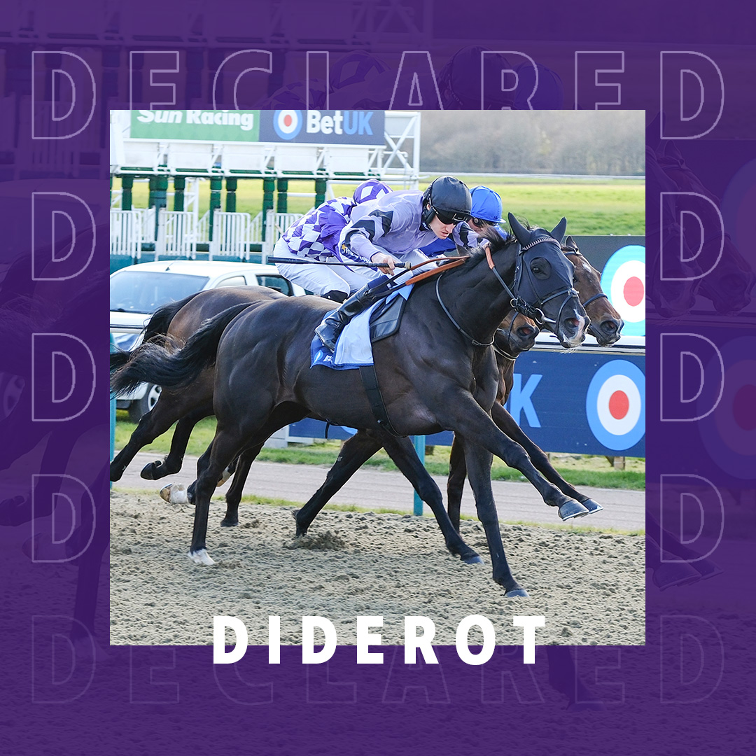 ownersgroupuk's tweet image. Diderot heads to Newcastle today. He runs in the 4.10 Easter Classic Middle Distance Handicap under jockey Rob Hornby and for trainer James Ferguson 🤞🏇 #OwnersGroup #Diderot