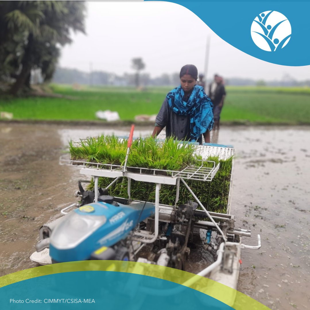 Exciting news!🌱@IFPRI & the 🇧🇩Ministry of Agriculture convened the first Technical Advisory Committee meeting in Dhaka to address challenges on farm mechanization in #Bangladesh. 🆕Dive into our blog to learn more: bangladesh.ifpri.info/2024/03/blog-i…