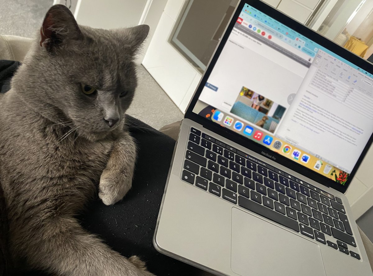 WORK_PR's tweet photo. The WorkPR gang are all working from home today to kick off the Easter Weekend, here is Milo helping Jess get on with her work today. https://t.co/Dw4pfC446m